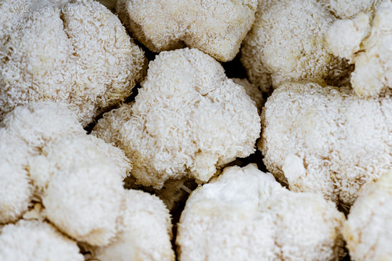 Lions Mane Supplements. Are They Worth It? - Orgenism